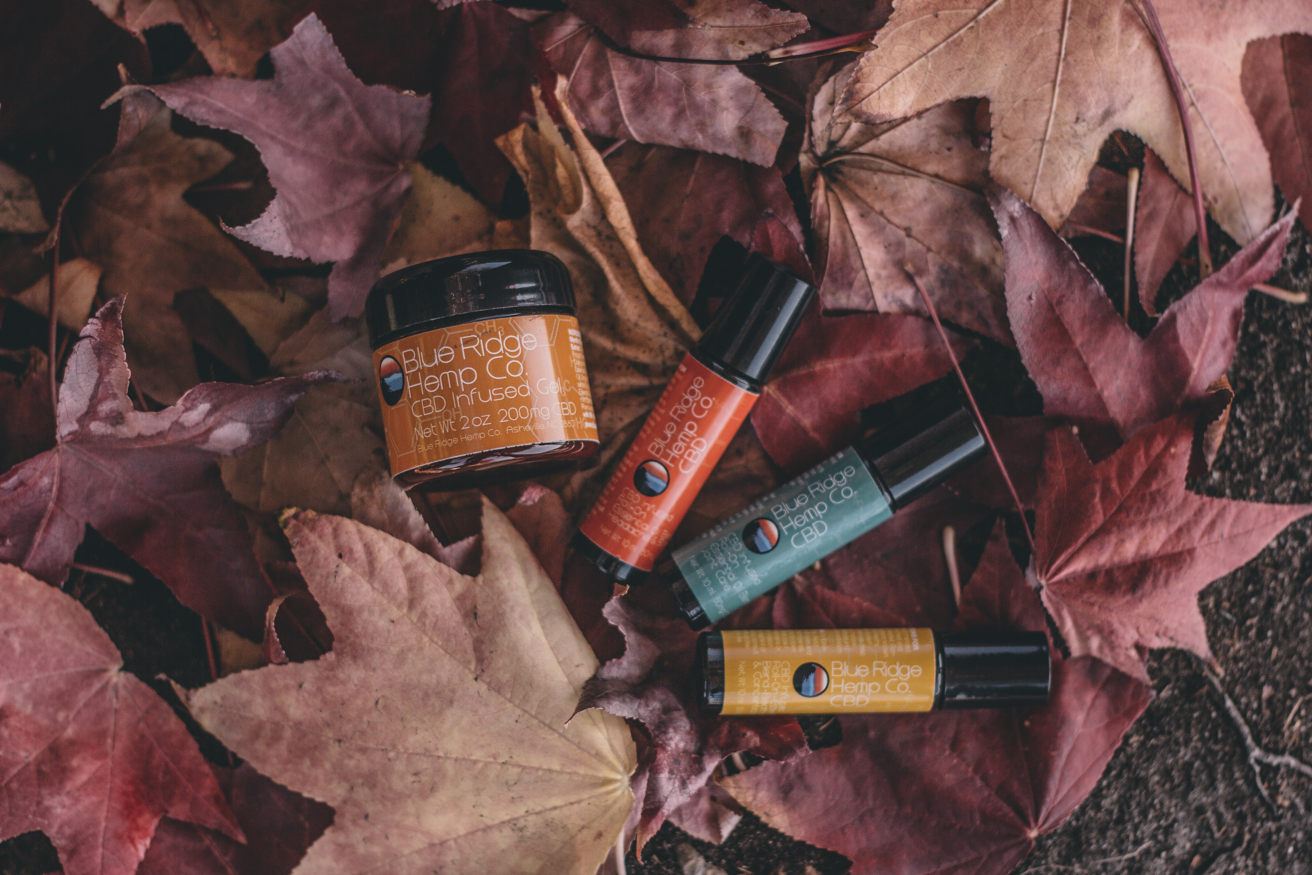 Four containers of hemp/CBD skincare products lay on a pile of fallen red leaves.